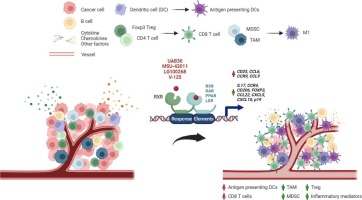 Retinoid X receptor agonists as selective modulators of the immune system for the treatment of cancer