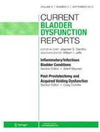 Navigating the Diagnostic Maze: Unraveling the Non-invasive Evaluation of Bladder Outlet Obstruction in Men—a Comprehensive Systematic Review