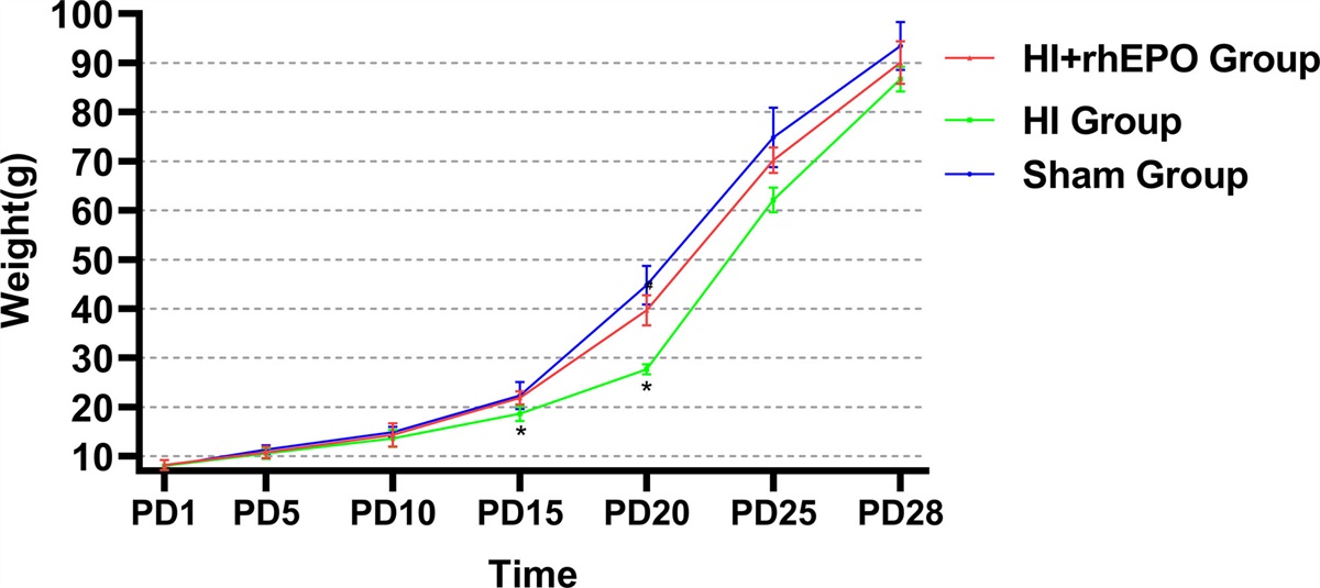 Recombinant human erythropoietin protects against immature brain damage induced by hypoxic/ischemia insult