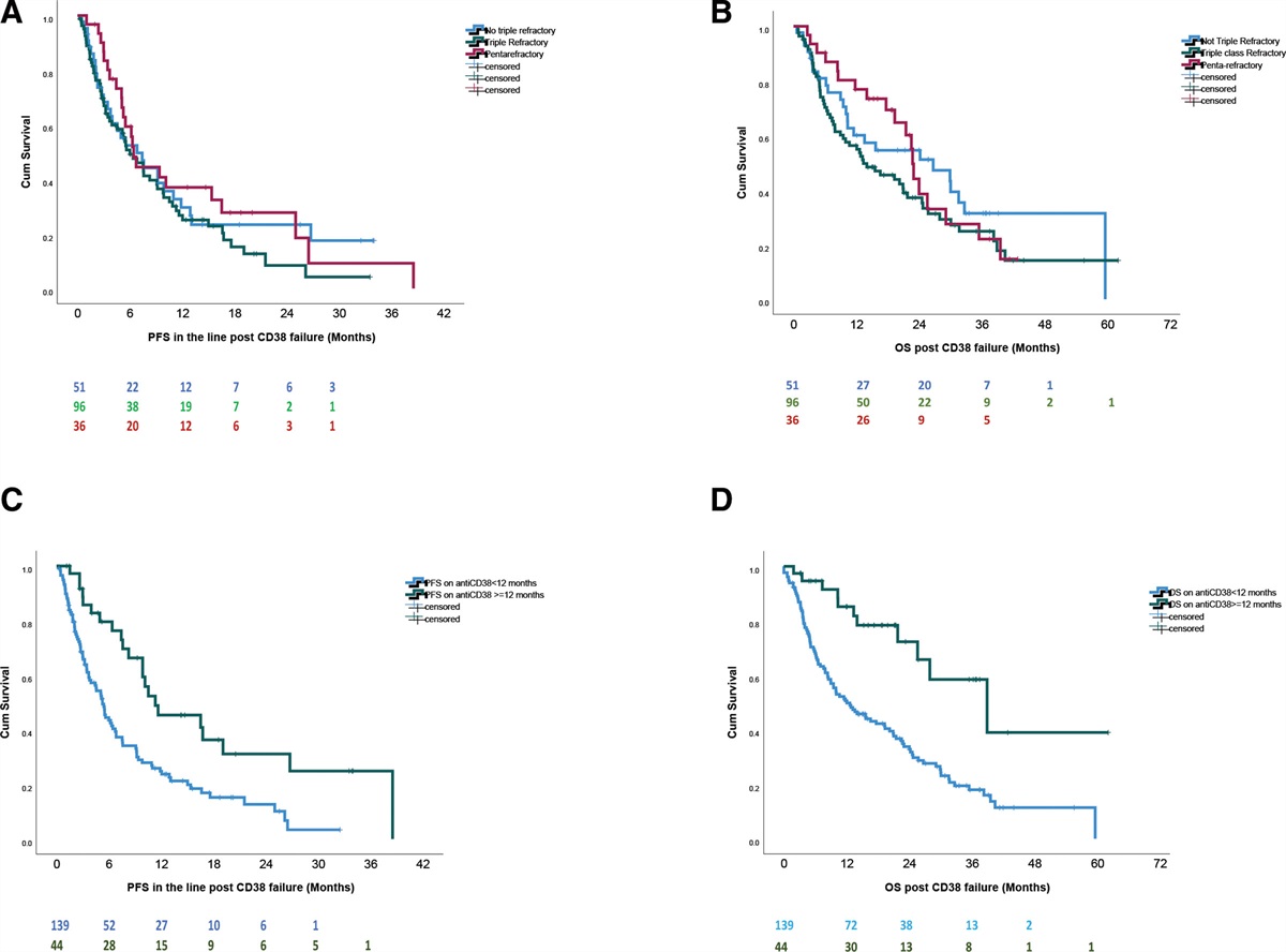 Management and Outcomes of Anti-CD38 Refractory Patients: The Impact of Retreatment and of Subsequent Therapies