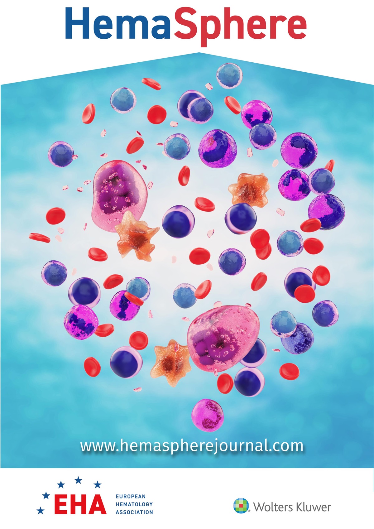 Unveiling the Hidden Burden: From EPICOVIDEHA to EPIFLUEHA, Exploring the Epidemiology of Respiratory Viral Infections in Hematological Patients