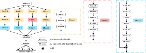 One-Dimensional Convolutional Multi-branch Fusion Network for EEG-Based Motor Imagery Classification