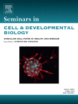 Proteotoxic stress and the ubiquitin proteasome system