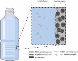 Significance of poly(ethylene terephthalate) (PET) substrate crystallinity on enzymatic degradation