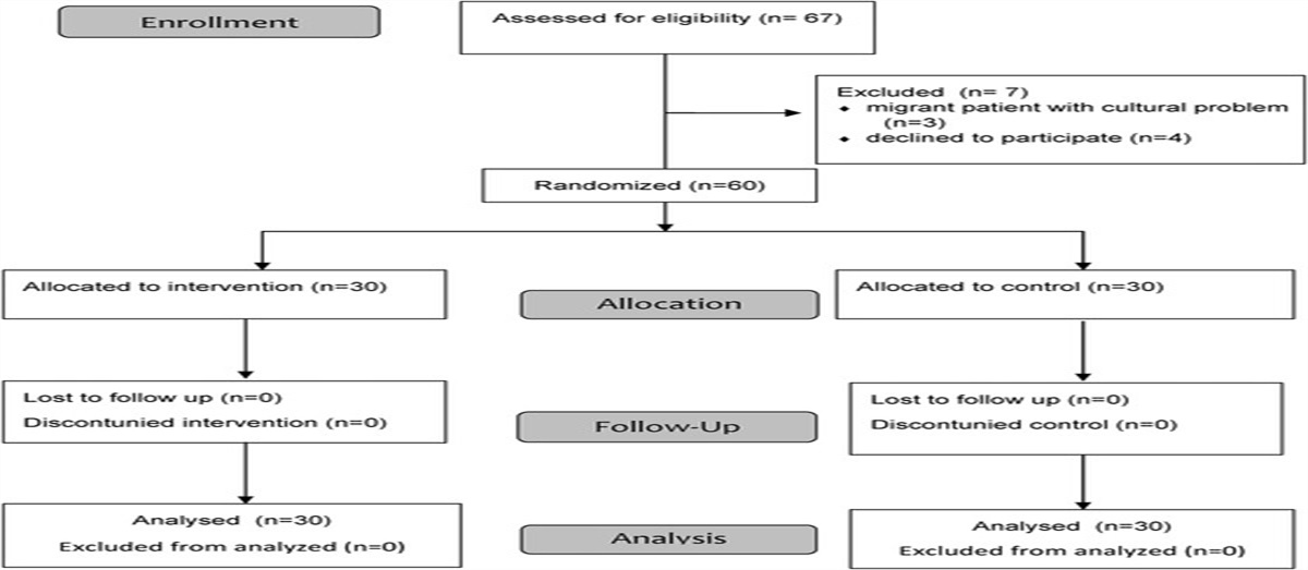 The Effect of Reiki Intervention on Fatigue and Anxiety in Hemodialysis Patients: A Randomized Controlled Study