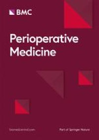 Periarticular injection, iPACK block, and peripheral nerve block in pain management after total knee arthroplasty: a structured narrative review