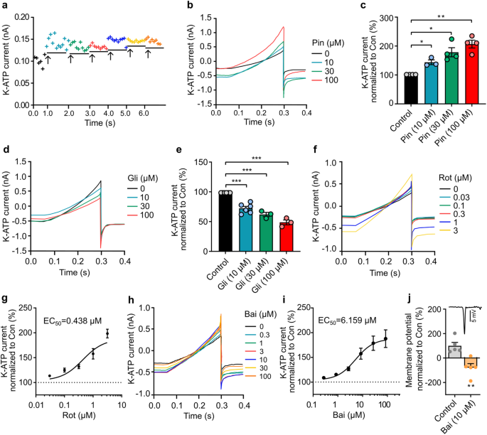 Baicalein attenuates rotenone-induced SH-SY5Y cell apoptosis through binding to SUR1 and activating ATP-sensitive potassium channels