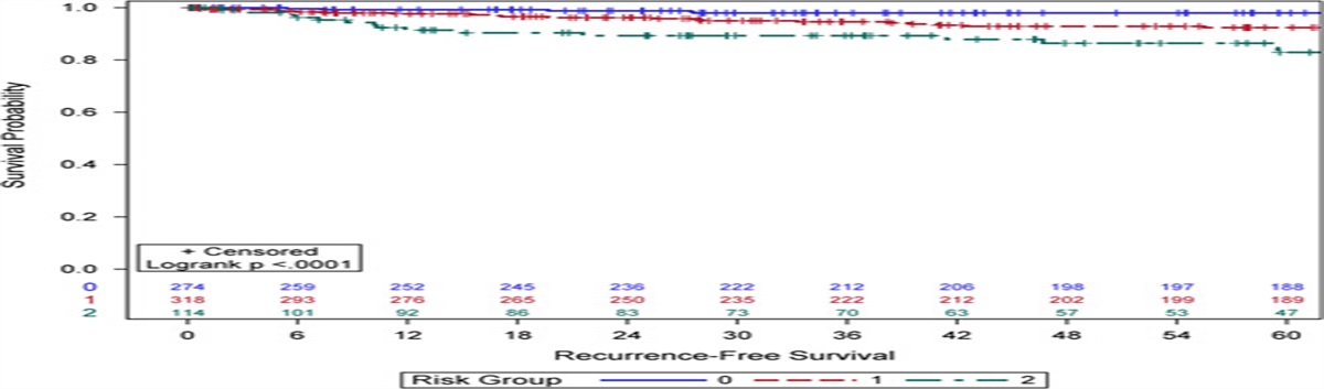 Recurrence Risk Stratification for Women With FIGO Stage I Uterine Endometrioid Carcinoma Who Underwent Surgical Lymph Node Evaluation