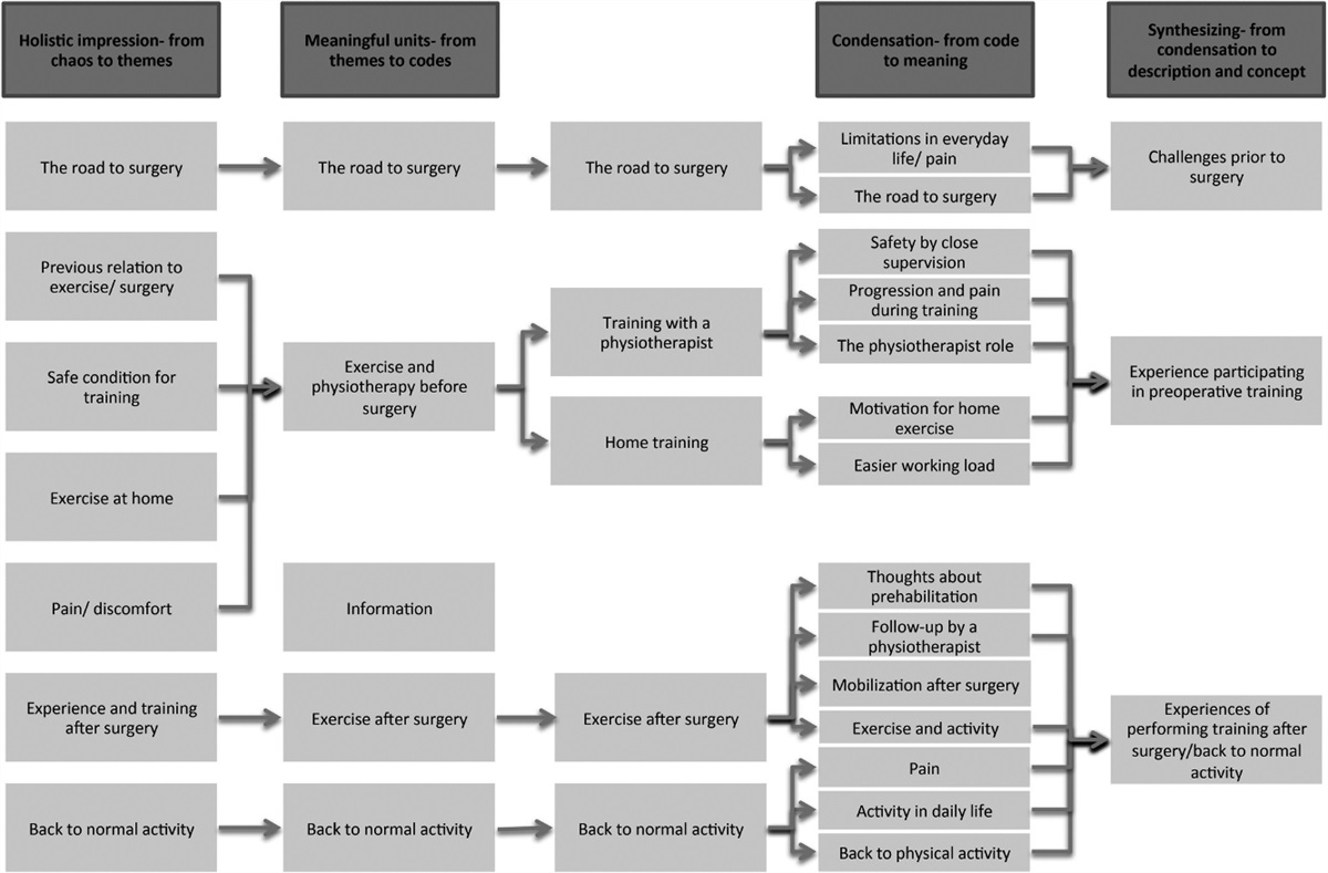 Better Before—Better After: A Qualitative Phenomenology Study of Older Adults' Experiences With Prehabilitation Before Total Hip Replacement