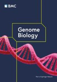 Methylation-directed regulatory networks determine enhancing and silencing of mutation disease driver genes and explain inter-patient expression variation