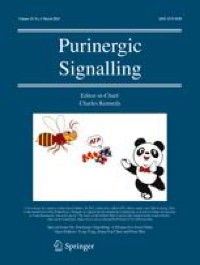 Deep learning structural insights into heterotrimeric alternatively spliced P2X7 receptors