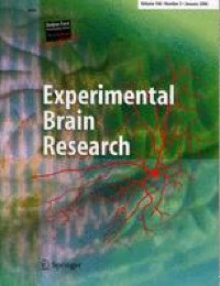 The ultrastructure of macaque mesencephalic trigeminal nucleus neurons