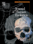 Investigating the co-occurrence of Neanderthals and modern humans in Belgium through direct radiocarbon dating of bone implements